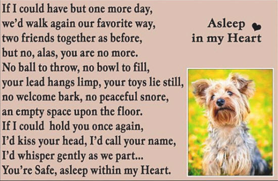 Loss of pet poems