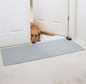 Scat mats deter dogs urine marking indoors