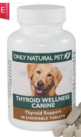 Hypothyroidism and your dog