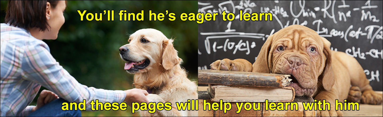 Carole's Doggie World will help you learn