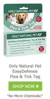 Getting rid of fleas